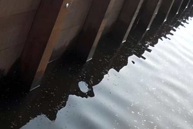 Damwand langs de oever