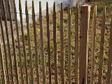 Schapenhek, foto 4