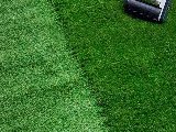 Batavia Groene Nylon spiraal-borstel, foto 4