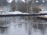 Prolock Afdeksloof, foto 4
