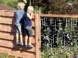 Douglas Betontrellis, foto 3